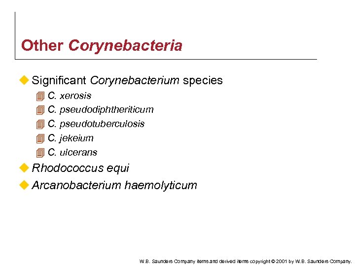 Other Corynebacteria u Significant Corynebacterium species 4 C. xerosis 4 C. pseudodiphtheriticum 4 C.