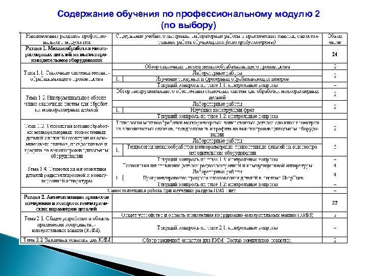 Содержание обучения по профессиональному модулю 2 (по выбору) 