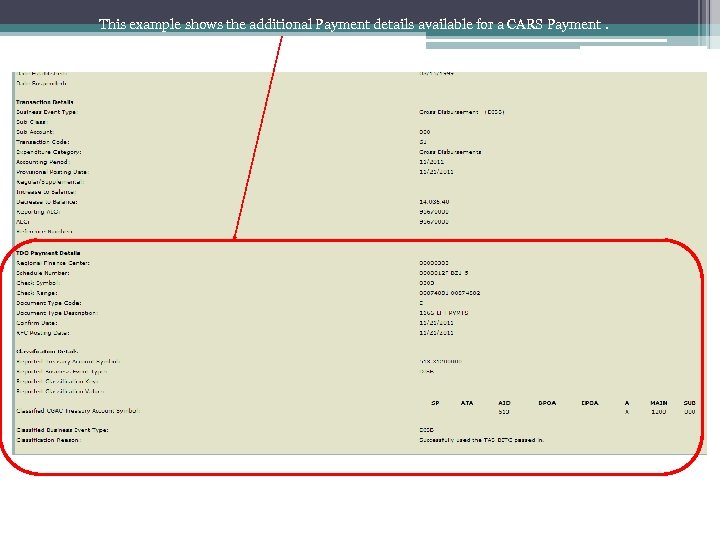 This example shows the additional Payment details available for a CARS Payment. 