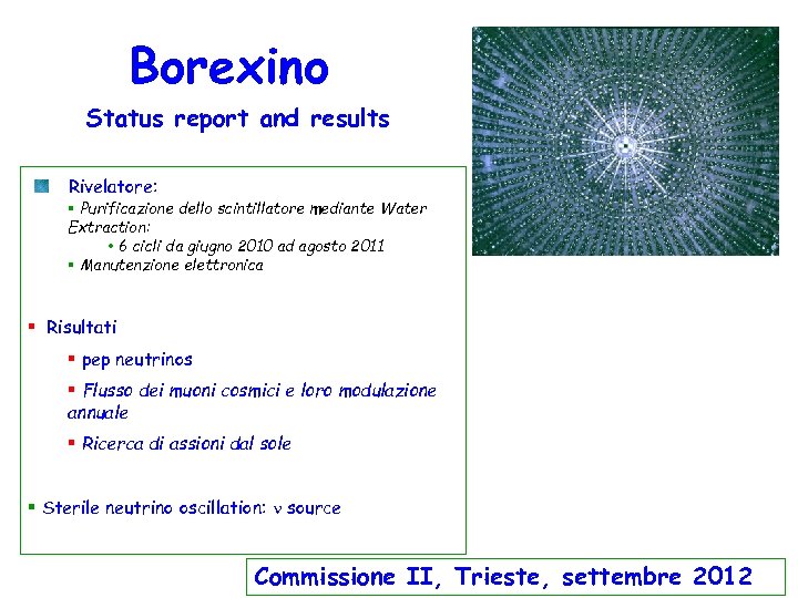 Borexino Status report and results Rivelatore: § Purificazione dello scintillatore mediante Water Extraction: •