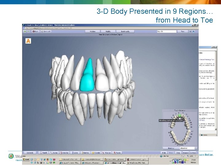 3 -D Body Presented in 9 Regions… from Head to Toe 