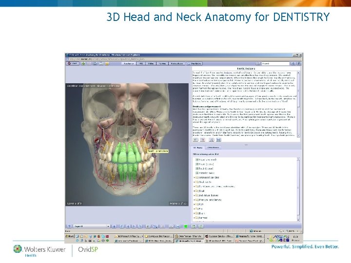3 D Head and Neck Anatomy for DENTISTRY 