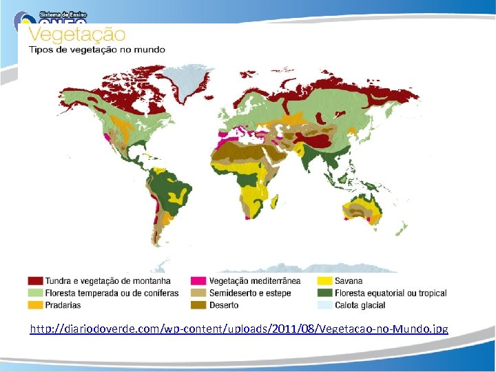 http: //diariodoverde. com/wp-content/uploads/2011/08/Vegetacao-no-Mundo. jpg 