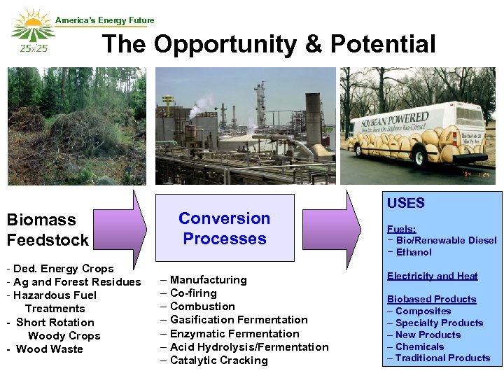 America’s Energy Future The Opportunity & Potential Biomass Feedstock - Ded. Energy Crops -