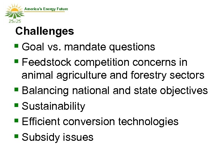 America’s Energy Future Challenges § Goal vs. mandate questions § Feedstock competition concerns in