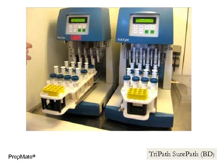 Prep. Mate Tri. Path Sure. Path (BD) 