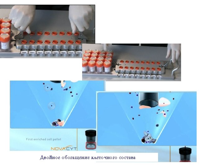 Двойное обогащение клеточного состава 