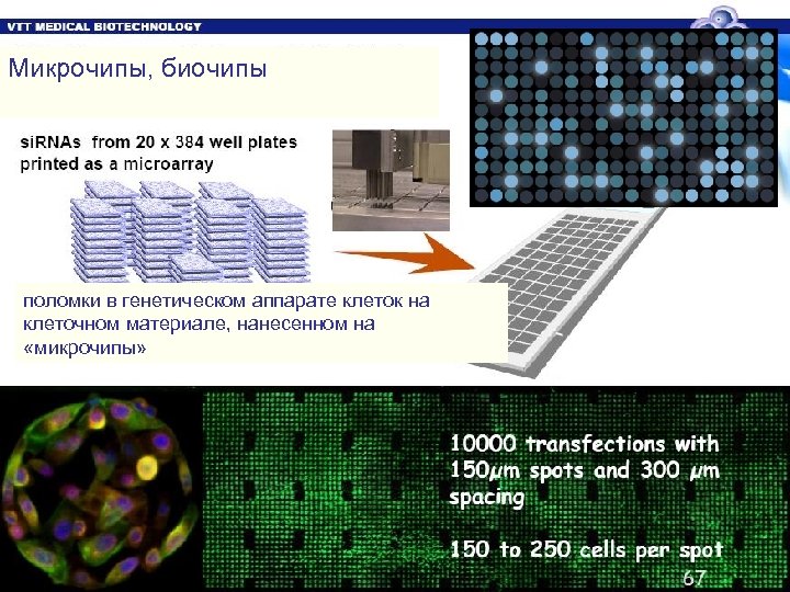 Микрочипы, биочипы поломки в генетическом аппарате клеток на клеточном материале, нанесенном на «микрочипы» 
