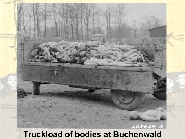 Truckload of bodies at Buchenwald 