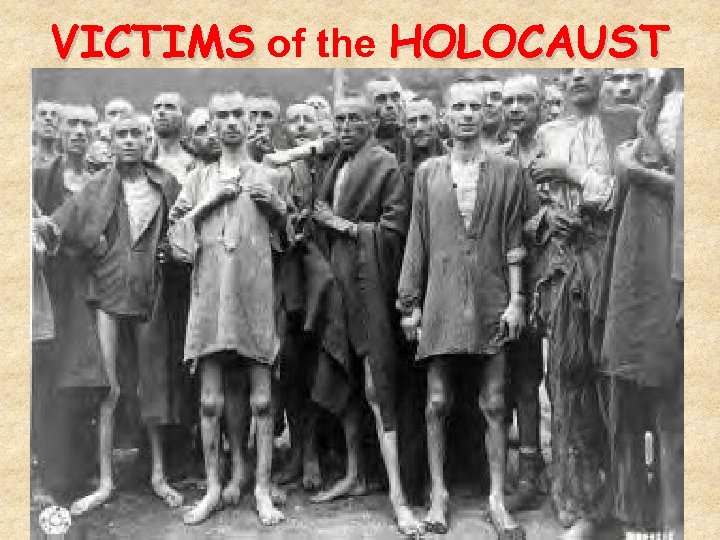 VICTIMS of the HOLOCAUST 38 