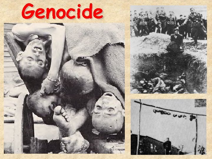 Genocide 42 