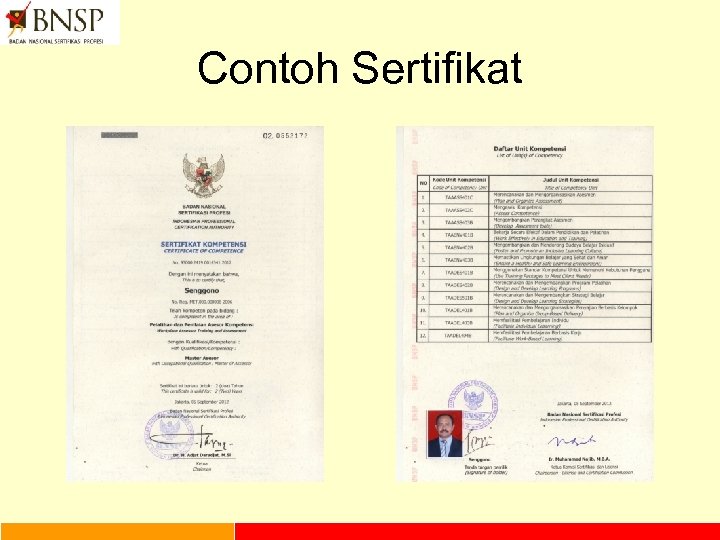 Contoh Sertifikat 