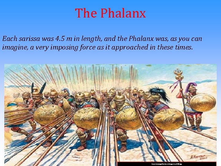 The Phalanx Each sarissa was 4. 5 m in length, and the Phalanx was,
