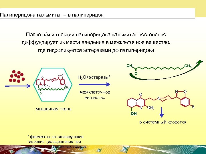 Палиперидона пальмитат – в палиперидон После в/м инъекции палиперидона пальмитат постепенно диффундирует из места