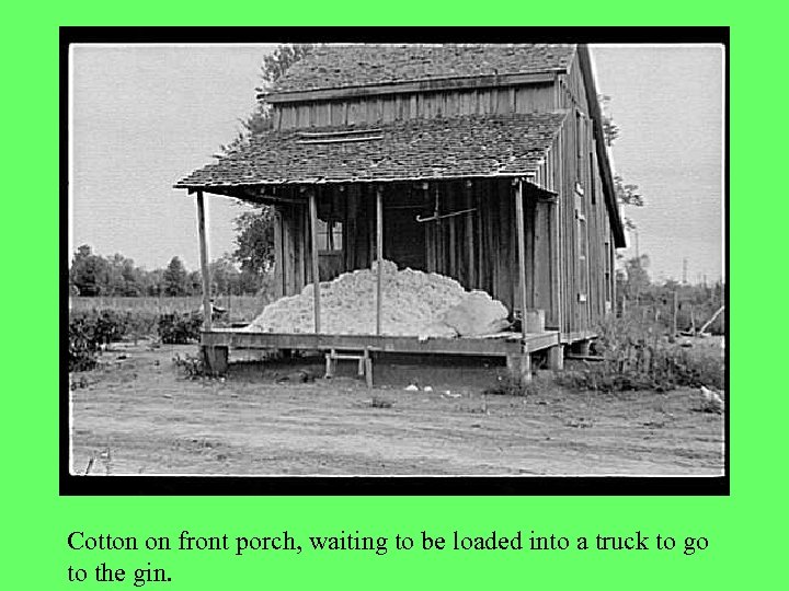 Cotton on front porch, waiting to be loaded into a truck to go to