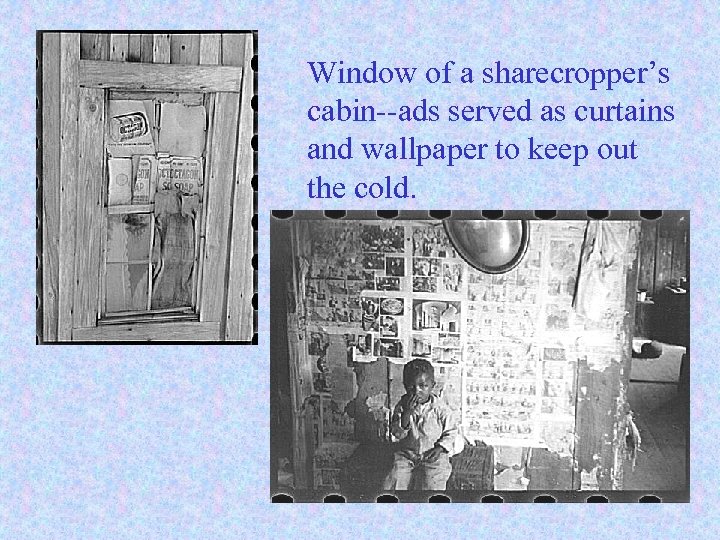 Window of a sharecropper’s cabin--ads served as curtains and wallpaper to keep out the
