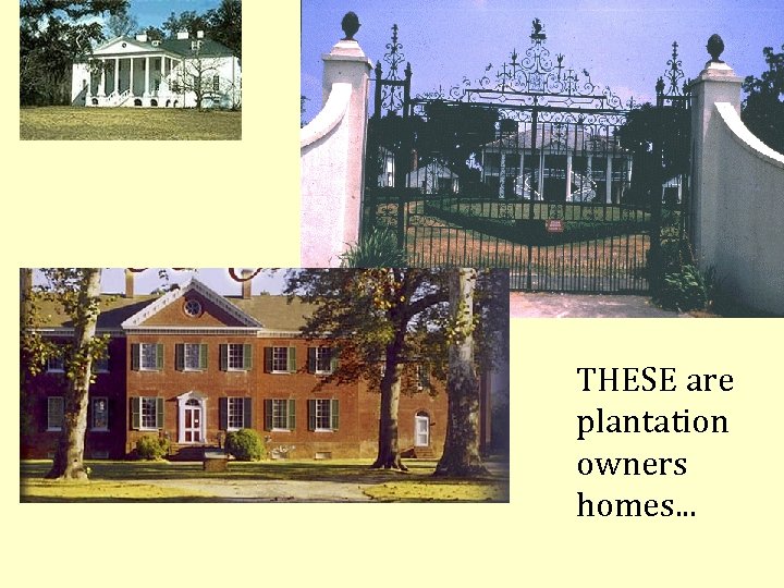 THESE are plantation owners homes. . . 