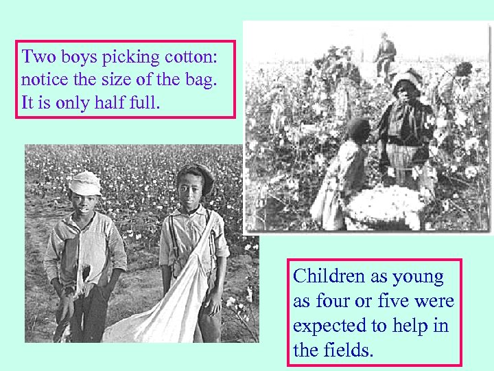 Two boys picking cotton: notice the size of the bag. It is only half
