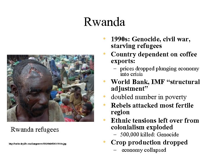 Rwanda • 1990 s: Genocide, civil war, starving refugees • Country dependent on coffee