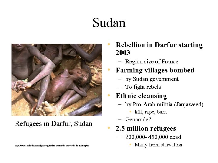 Sudan • Rebellion in Darfur starting 2003 – Region size of France • Farming