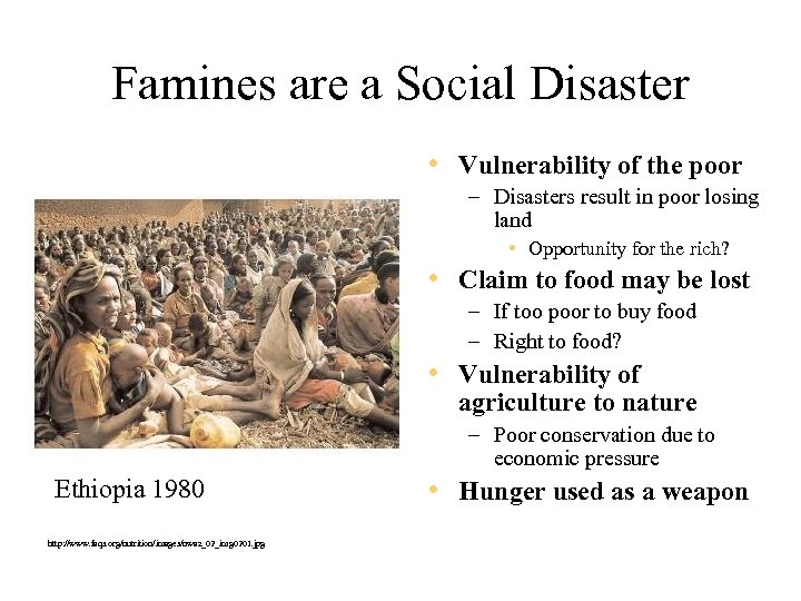 Famines are a Social Disaster • Vulnerability of the poor – Disasters result in