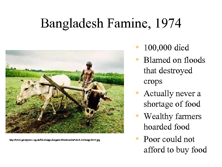 Bangladesh Famine, 1974 • 100, 000 died • Blamed on floods http: //www. greenpeace.