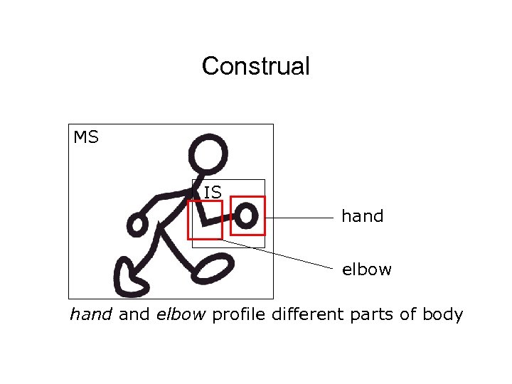 Construal MS IS hand elbow profile different parts of body 