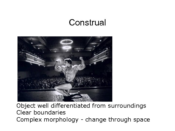 Construal Object well differentiated from surroundings Clear boundaries Complex morphology - change through space