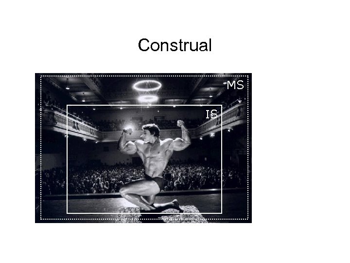 Construal MS IS 
