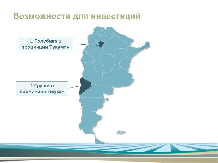 Возможности для инвестиций 1. Голубика в провинции Тукуман 2. Груши в провинции Неукен 