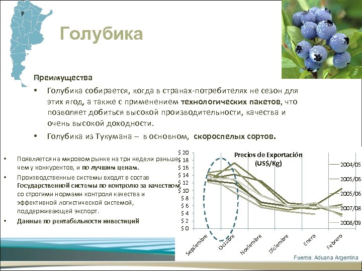 Голубика Преимущества • Голубика собирается, когда в странах-потребителях не сезон для этих ягод, а