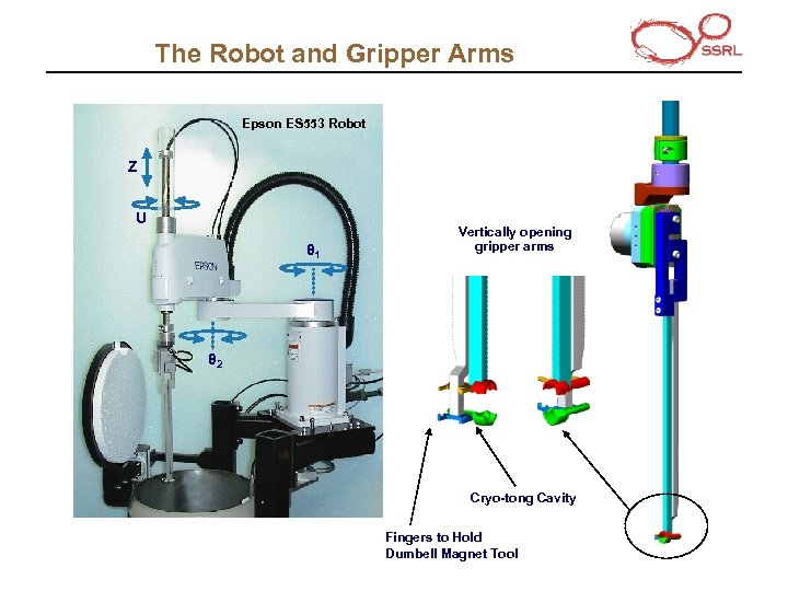 The Robot and Gripper Arms Epson ES 553 Robot Z U θ 1 Vertically