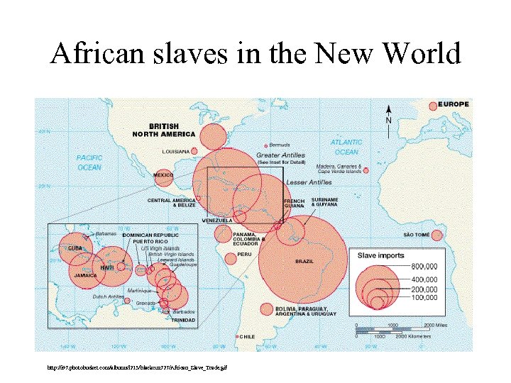African slaves in the New World http: //i 97. photobucket. com/albums/l 213/blackcuz 727/African_Slave_Trade. gif