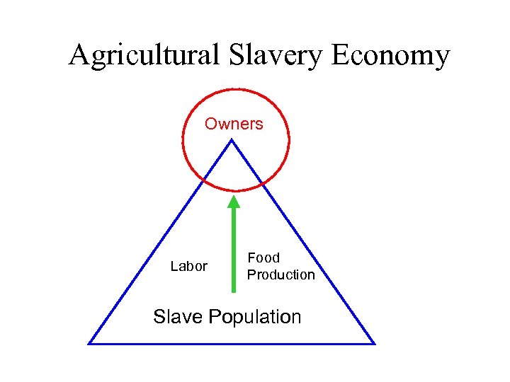 Agricultural Slavery Economy Owners Labor Food Production Slave Population 