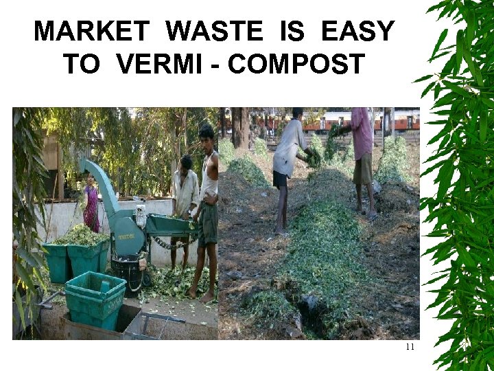 MARKET WASTE IS EASY TO VERMI - COMPOST 11 