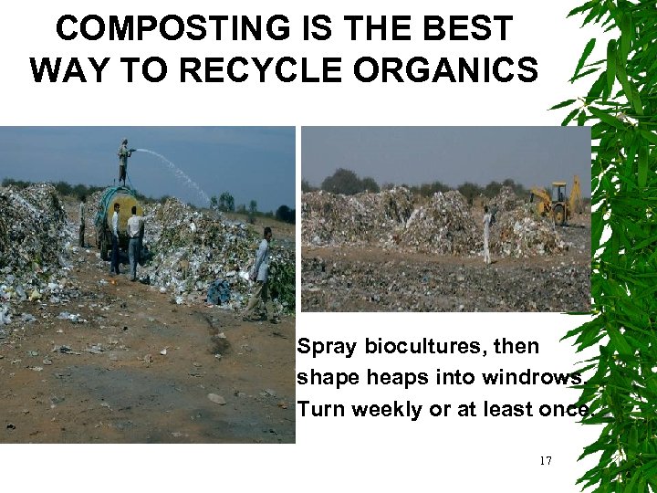 COMPOSTING IS THE BEST WAY TO RECYCLE ORGANICS Spray biocultures, then shape heaps into