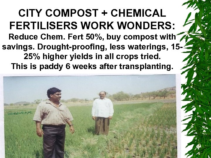 CITY COMPOST + CHEMICAL FERTILISERS WORK WONDERS: Reduce Chem. Fert 50%, buy compost with
