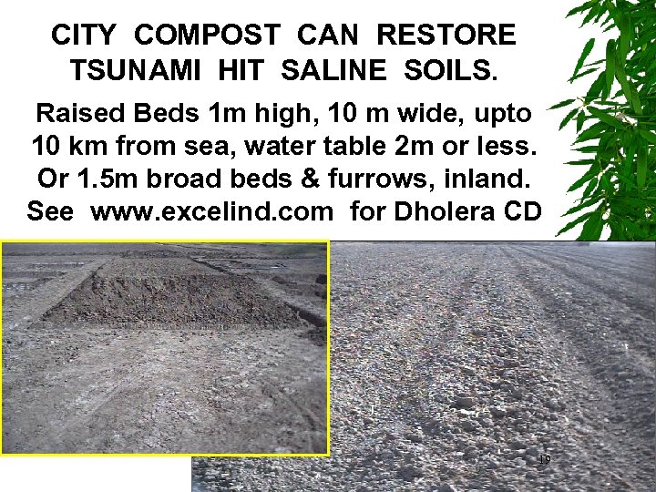 CITY COMPOST CAN RESTORE TSUNAMI HIT SALINE SOILS. Raised Beds 1 m high, 10