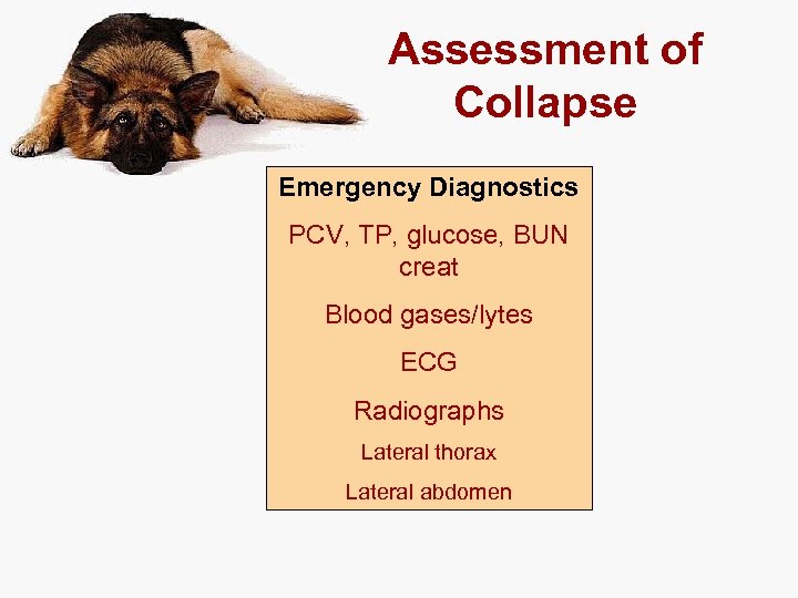 Assessment of Collapse Emergency Diagnostics PCV, TP, glucose, BUN creat Blood gases/lytes ECG Radiographs