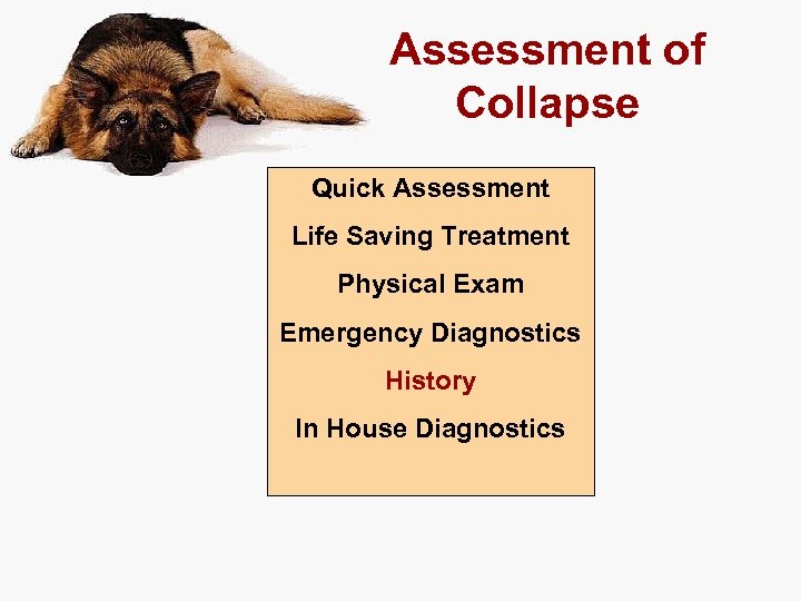 Assessment of Collapse Quick Assessment Life Saving Treatment Physical Exam Emergency Diagnostics History In