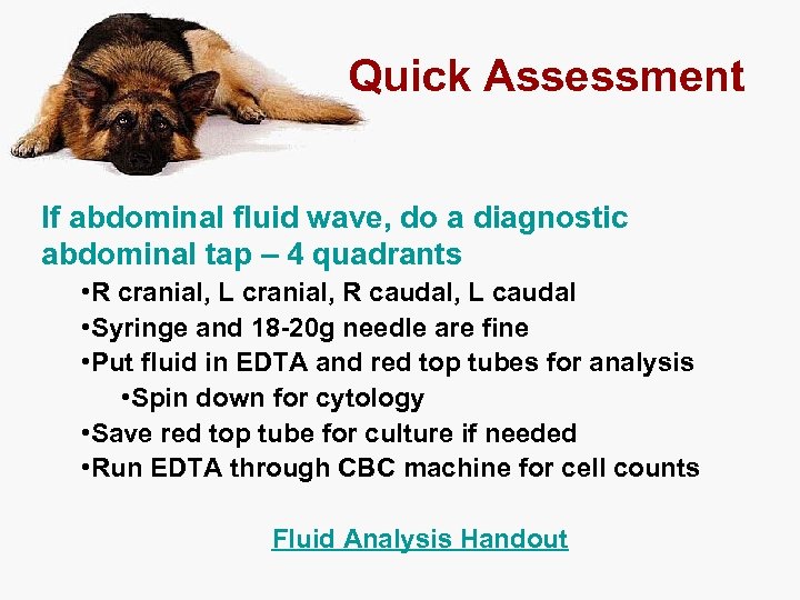 Quick Assessment If abdominal fluid wave, do a diagnostic abdominal tap – 4 quadrants