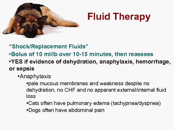 Fluid Therapy “Shock/Replacement Fluids” • Bolus of 10 ml/lb over 10 -15 minutes, then