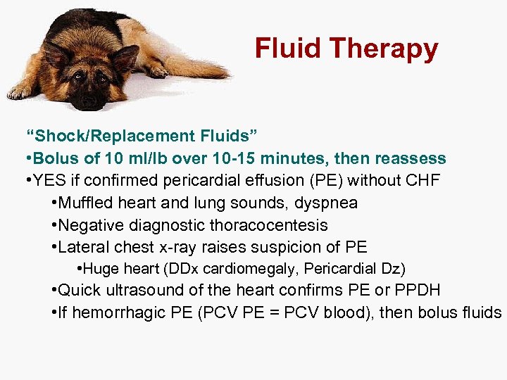 Fluid Therapy “Shock/Replacement Fluids” • Bolus of 10 ml/lb over 10 -15 minutes, then