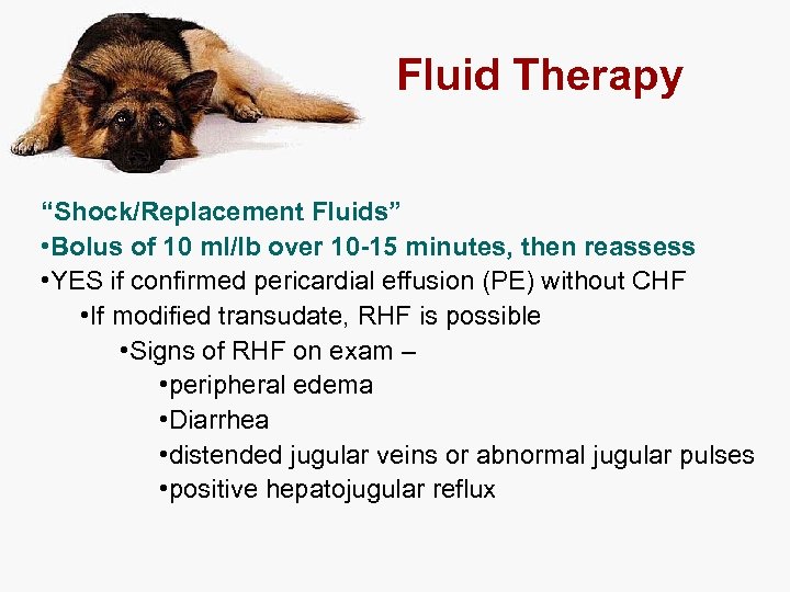 Fluid Therapy “Shock/Replacement Fluids” • Bolus of 10 ml/lb over 10 -15 minutes, then