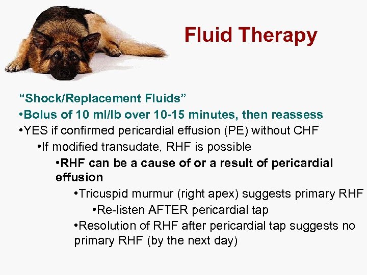 Fluid Therapy “Shock/Replacement Fluids” • Bolus of 10 ml/lb over 10 -15 minutes, then