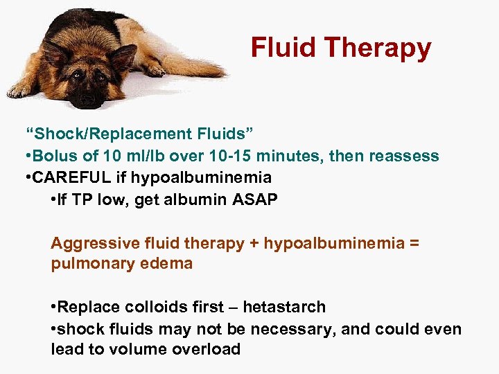 Fluid Therapy “Shock/Replacement Fluids” • Bolus of 10 ml/lb over 10 -15 minutes, then