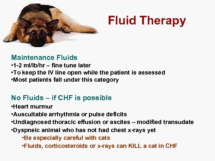 Fluid Therapy Maintenance Fluids • 1 -2 ml/lb/hr – fine tune later • To