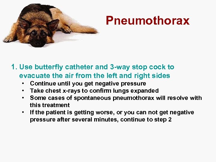 Pneumothorax 1. Use butterfly catheter and 3 -way stop cock to evacuate the air