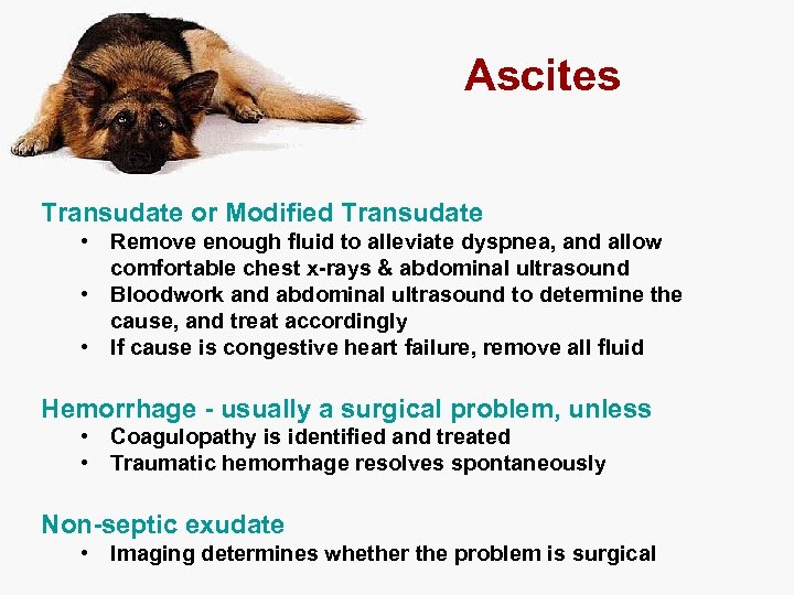 Ascites Transudate or Modified Transudate • Remove enough fluid to alleviate dyspnea, and allow