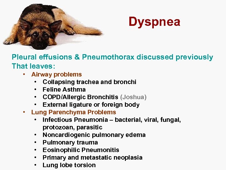 Dyspnea Pleural effusions & Pneumothorax discussed previously That leaves: • Airway problems • Collapsing